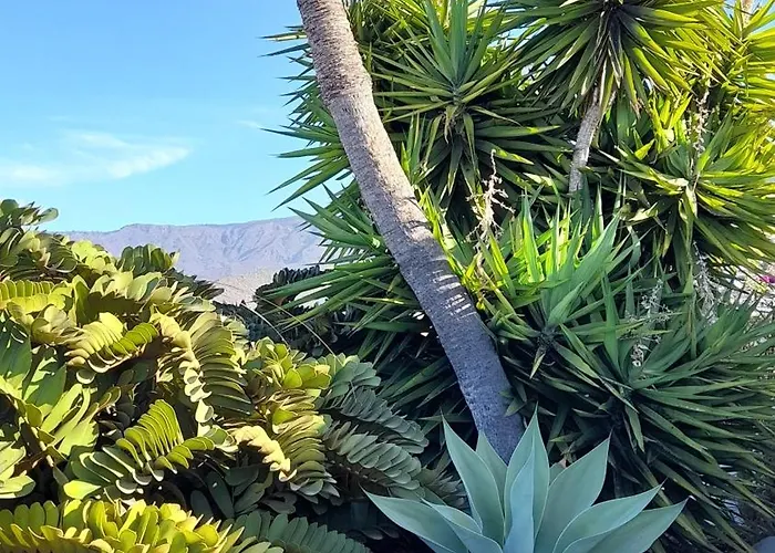 Island Village Heights Costa Adeje (Tenerife)