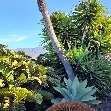 Island Village Heights Costa Adeje